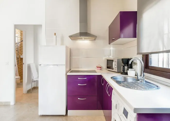 Magnolia B- Solo Familias *